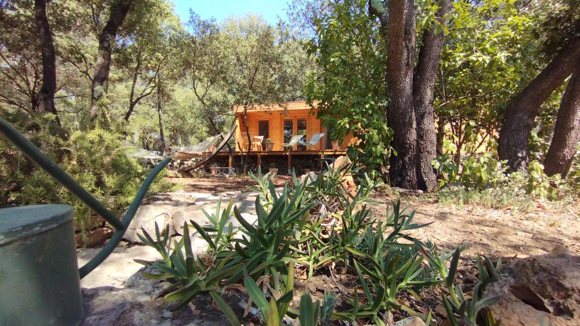 Bed and Breakfast La Bergerie Des Colles Entrecasteaux Zewnętrze zdjęcie